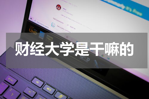 财经大学是干嘛的