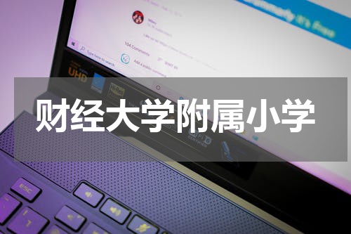 财经大学附属小学