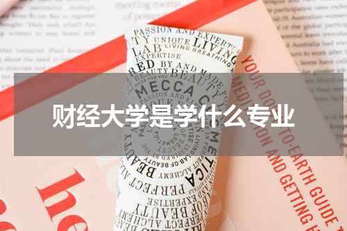 财经大学是学什么专业