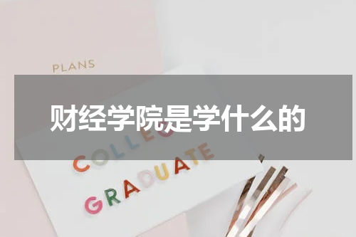 财经学院是学什么的