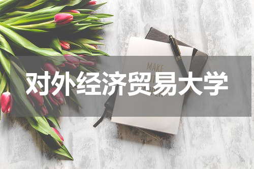 对外经济贸易大学