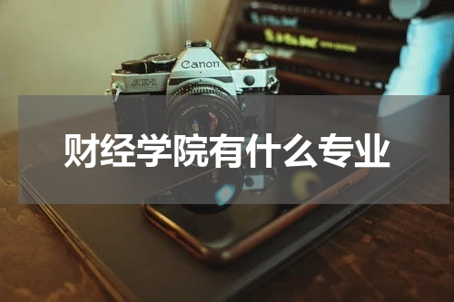 财经学院有什么专业
