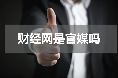 财经网是官媒吗