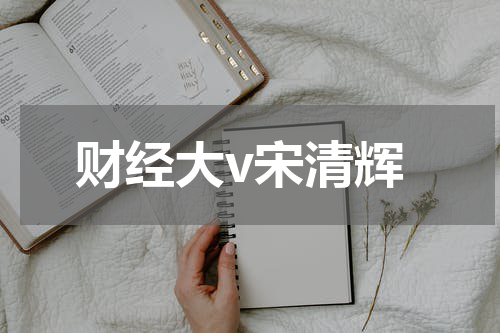 财经大v宋清辉