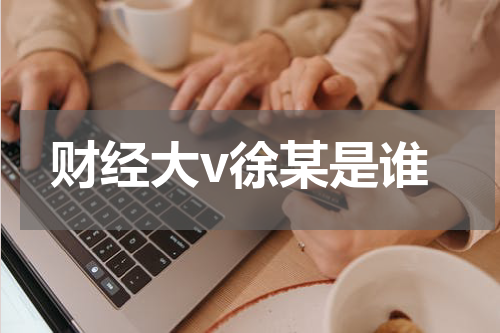 财经大v徐某是谁
