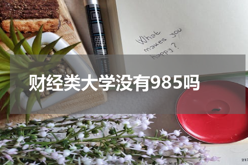 财经类大学没有985吗
