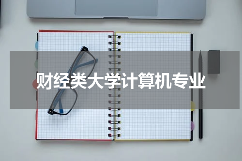 财经类大学计算机专业