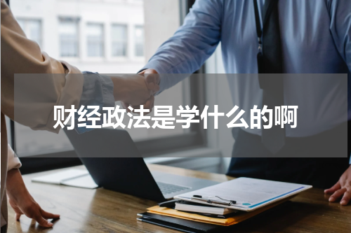 财经政法是学什么的啊