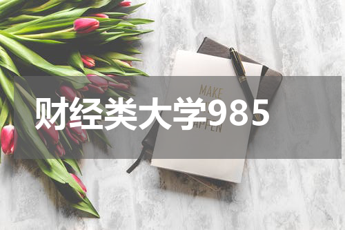 财经类大学985