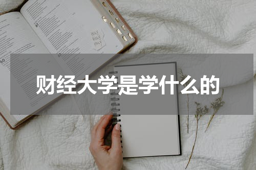财经大学是学什么的