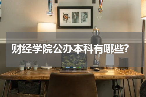 财经学院公办本科有哪些?