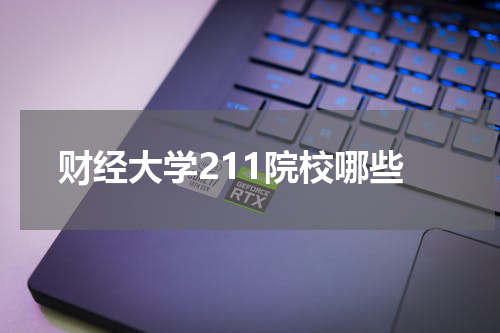 财经大学211院校哪些