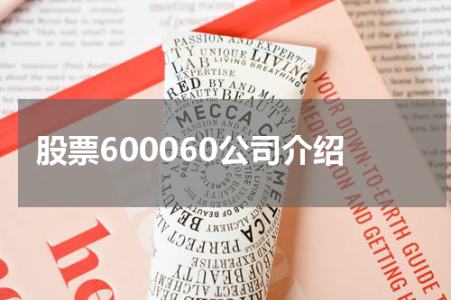 股票600060公司介绍