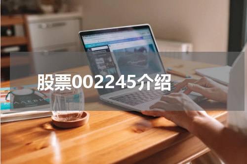 股票002245介绍