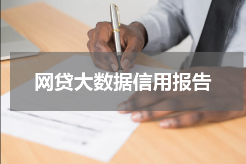 网贷大数据信用报告