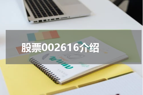 股票002616介绍