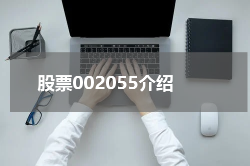 股票002055介绍