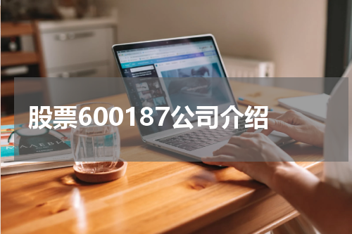 股票600187公司介绍
