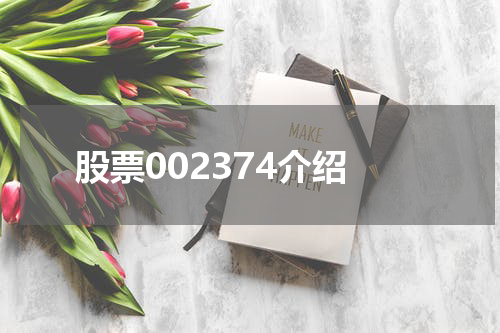 股票002374介绍