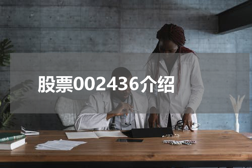 股票002436介绍