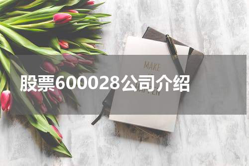 股票600028公司介绍