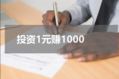 投资1元赚1000