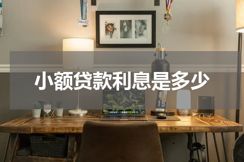小额贷款利息是多少