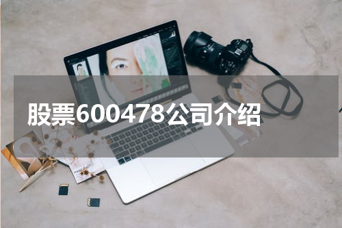 股票600478公司介绍