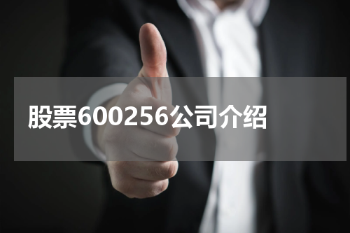 股票600256公司介绍
