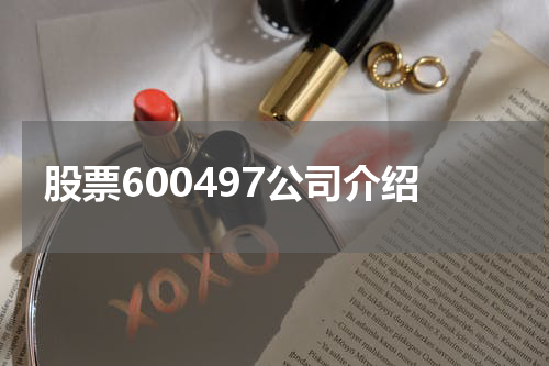 股票600497公司介绍