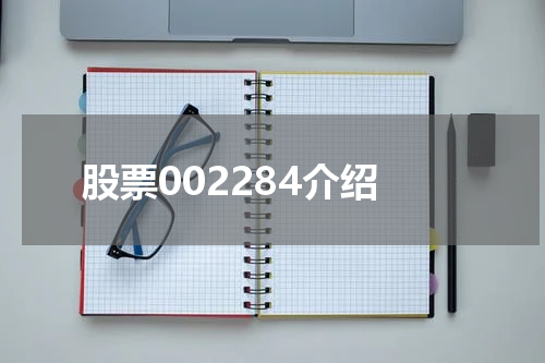 股票002284介绍