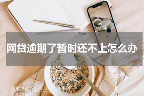 网贷逾期了暂时还不上怎么办