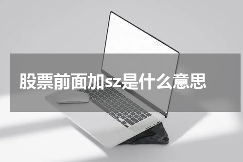 股票前面加sz是什么意思