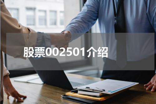 股票002501介绍