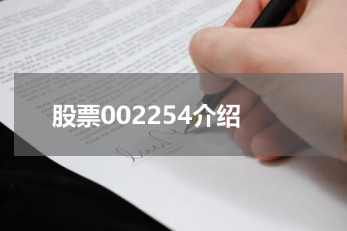 股票002254介绍
