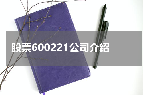 股票600221公司介绍