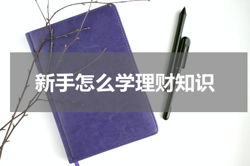 新手怎么学理财知识
