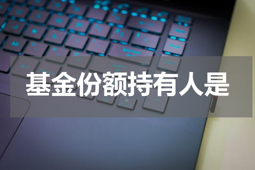 基金份额持有人是