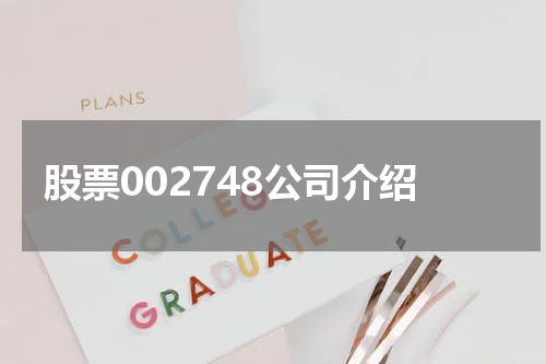 股票002748公司介绍