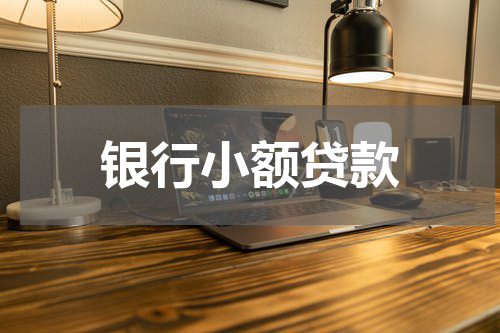银行小额贷款