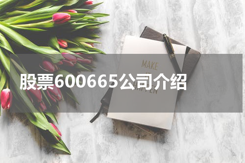 股票600665公司介绍