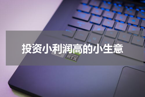 投资小利润高的小生意