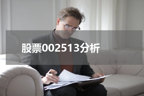 股票002513分析