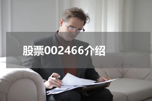 股票002466介绍