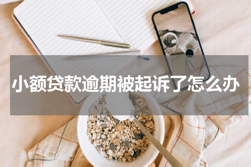 小额贷款逾期被起诉了怎么办