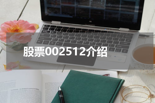 股票002512介绍
