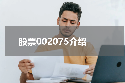 股票002075介绍