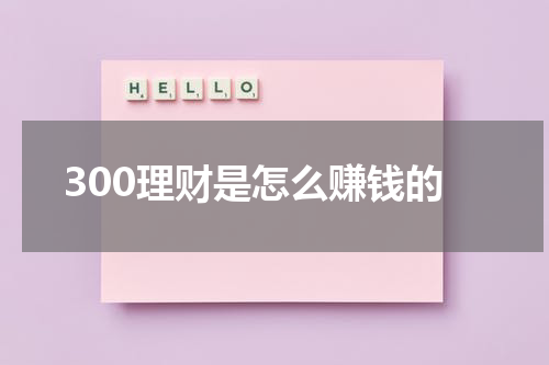 300理财是怎么赚钱的
