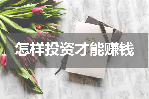 怎样投资才能赚钱