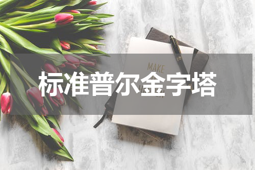 标准普尔金字塔